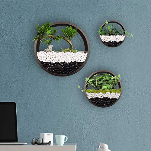 Bronze Basket Planter Round Metal Vase Retro Wall Planter Hanging Air Plant Holder Vintage Flower Pot Succulent Cactus Container Geometric Plant Holder Iron Round Wall Planter Circle Planter (Mixed)