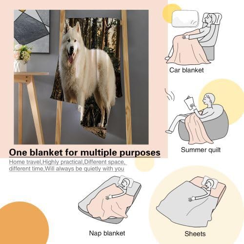 Plaid Polaire 220x240 Animal Chien, Couverture Polaire 220x240 | Dimensions Royales pour Lit King Size, d'une Douceur Persistante, Procure Une Expérience de Sommeil Chaleureuse I11-