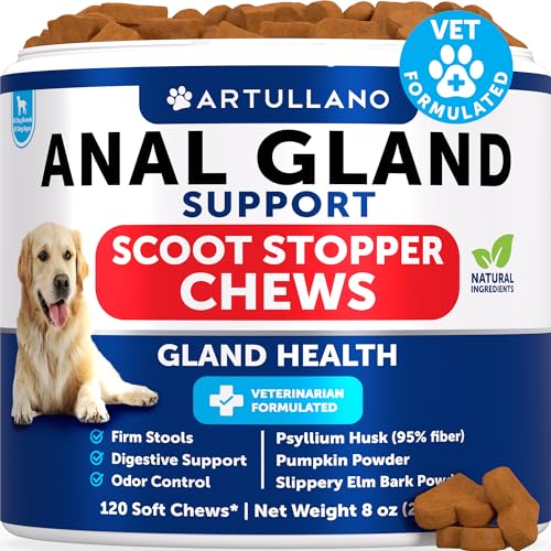 Bye Scoot - Anal Gland Support Chews for Dogs - Fiber Blend with Pumpkin Psyllium Slippery Elm Digestive Enzyme - Scoot Treatment - Supplement for Gut Anal Gland Health Stool Quality - 120 Treats