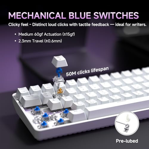 Image of DIERYA DK68 60% Wireless Mechanical Gaming Keyboard, 3-Mode, Bluetooth 5.0 /2.4G /USB-C, RGB Backlit, 68-Key Compact Mini for Windows, Mac, Linux - Clicky Blue Switch - White