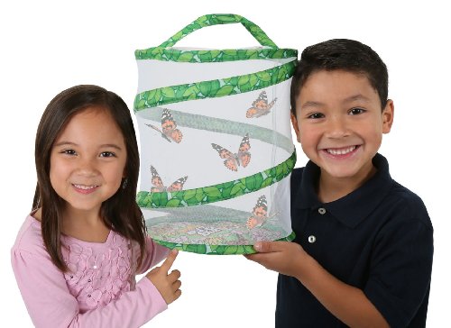 Butterfly Garden with 3-5 LIVE Caterpillars