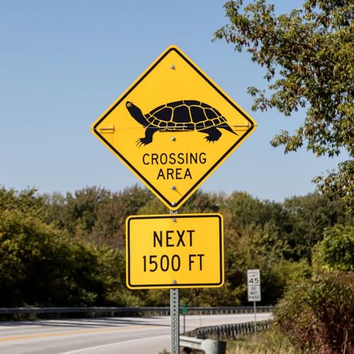 Federal help for studying and reducing wildlife crashes Podcast Por  arte de portada