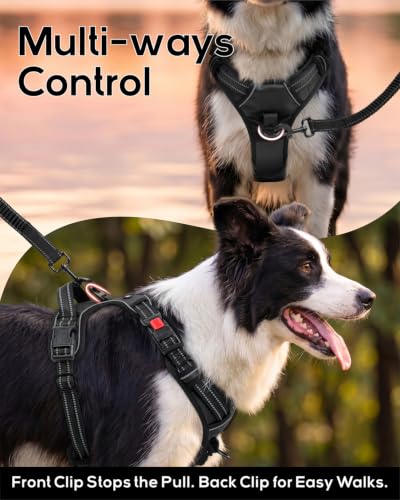 Taglory No Pull Dog Harness for Large Dogs, Bungee Extension, Black, L - Image 3