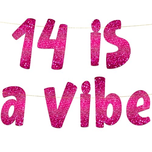 Pre-Strung 14 is a Vibe Pink Glitter Banner - Funny 14th Birthday Decorations for Teen Boys and Girls - Birthday Party Supplies and Gifts