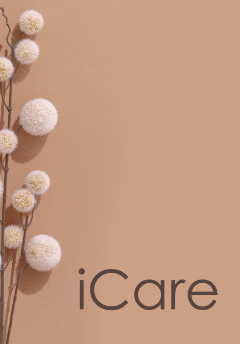iCare