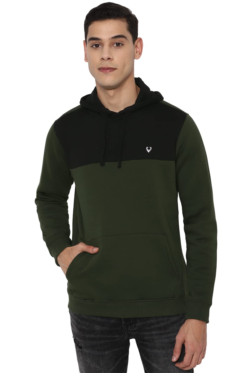 allen solly Men Hooded Sweatshirt-picture-38