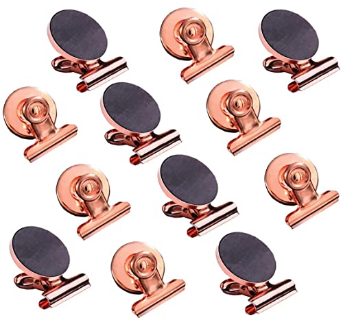 Strong Refrigerator Magnet Clips,Fridge Magnet Clip(Rose Gold-12 Pieces)