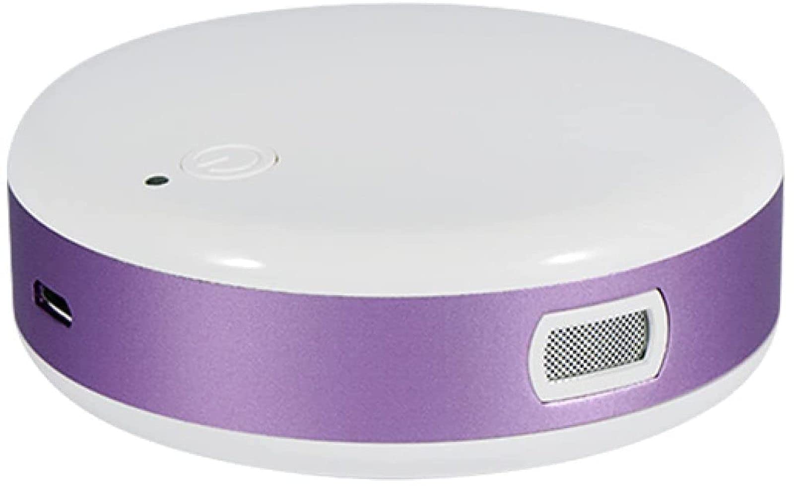 ZKHD Mini Purificador de Aire de Ozono, Esterilizador de Desodorización Portátil, Purificador de Aire con Recarga USB para Armario, Armario, Armario, Baño, Coche, Mascotas,Purple