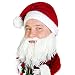 Beard Head Knitted Santa Beard Hat with Funny Beard Facemask