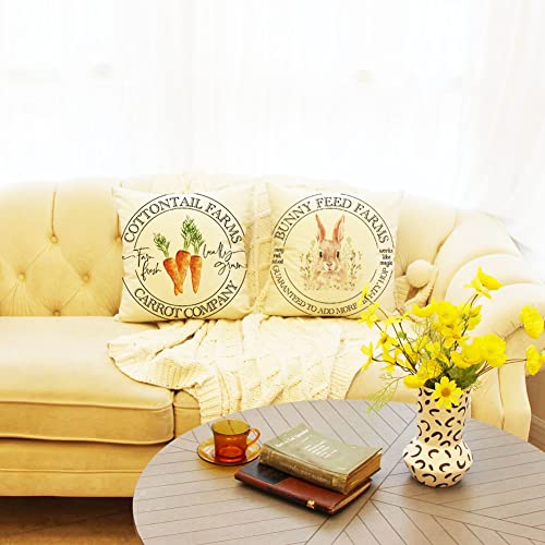 Ogiselestyle-Easter-Carrot-Bunny-Throw-Pillow-Cover-18-x-18-Inch-Happy-Easter-Cushion-Case-for-Sofa-Couch-Set-of-2 Ogiselestyle Easter Carrot Bunny Throw Pillow Cover 18 x 18 Inch Happy Easter Cushion Case for Sofa Couch Set of 2