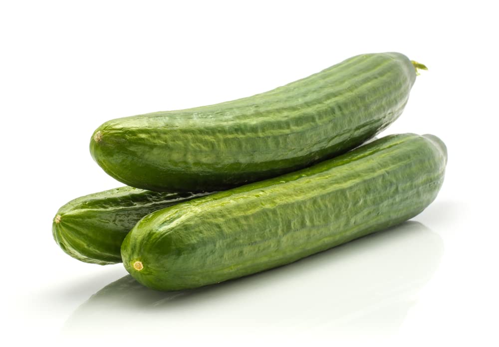 Heritage Vegetable Plants, Cucumber 'Ridge Burpless', 1 x Full Plant in a 9cm Pot, Cucumber Plants, Garden Ready, Premium Quality Cucumbers