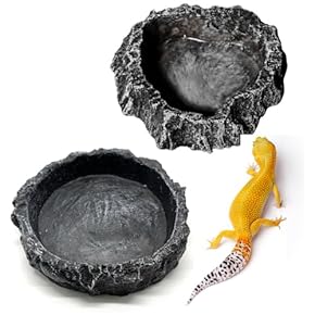 ぽん　爬虫類水入れ　10個セット ぽん 爬虫類水入れ 10個セット Amazon | 爬虫類 水入れ 8*8*