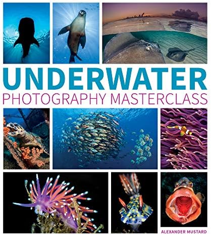Underwater Photography Masterclass