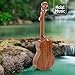 Concert Ukulele Deluxe Series by Hola! Music (Model HM-124KA+), Bundle Includes: 24 Inch Koa Ukulele with Aquila Nylgut Strings Installed, Padded Gig Bag, Strap and Picks - Limited Edition