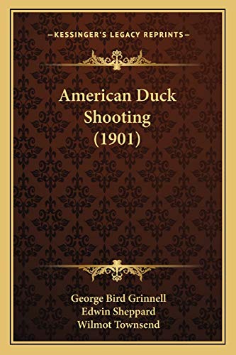American Duck Shooting (1901)