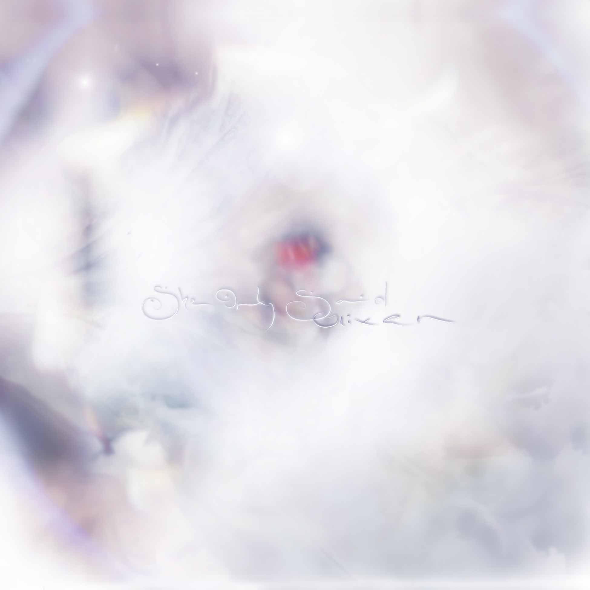 She Only Said [VINYL]