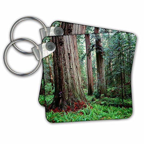 Porte-clés forêt de Redwoods accessoire de sac original 6 cm