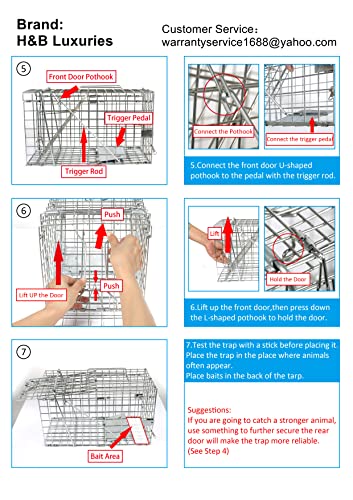 H&B Luxuries Rat Trap - Humane Live Animal Cage For Rat Mouse Hamster Mole Weasel Gopher Chipmunk Squirrels And More Rodents (2*Medium) #TOP7