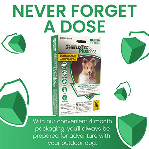 Shieldtec Flea, Tick, And Mosquito Prevention For Dogs #TOP4