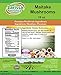Maitake Mushrooms (16 oz, ZIN: 526598)