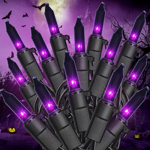 Hopolon Purple Halloween Mini Lights, 2 Pack 50 Count 13FT Black Wire