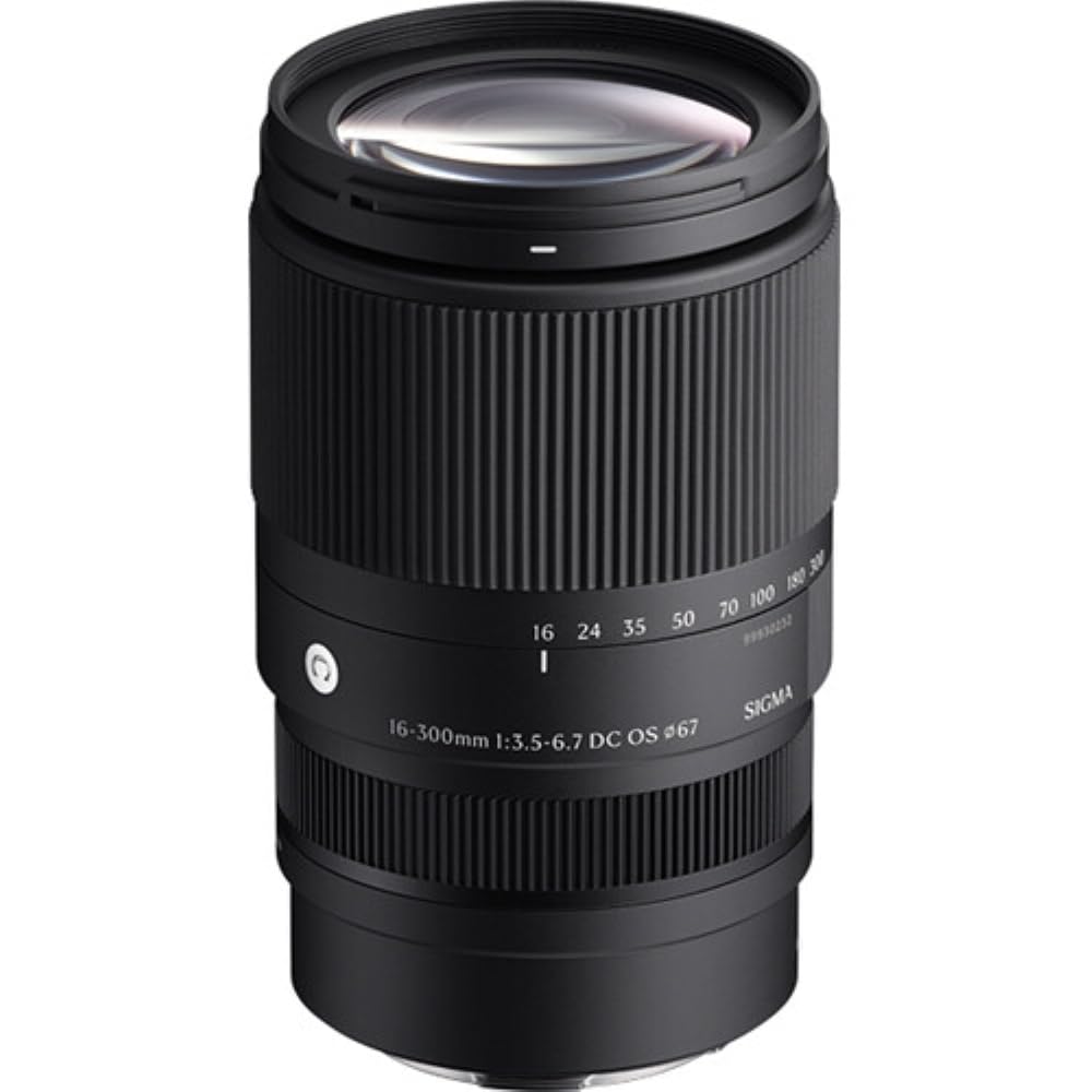 Amazon.com : Sony a6700 Mirrorless Camera with Sigma 16-300mm f