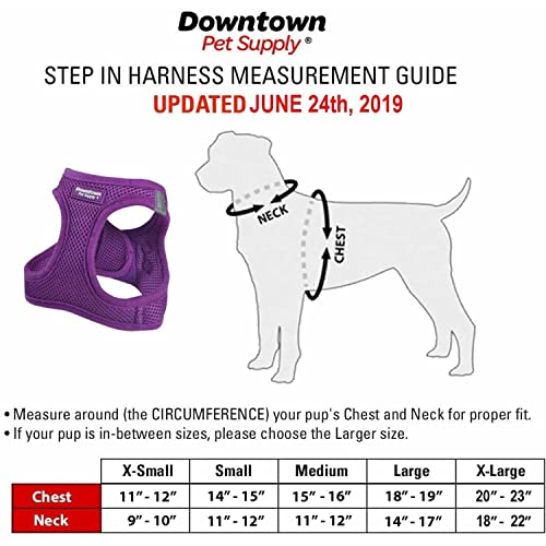 Downtown Pet Supply - Dog Harness For Small Dogs No-Pull - Step In Dog Harness - Padded Mesh Fabric Dog Vest With Reflective Trim, Velcro And Buckle Straps - Dinosaur - S #TOP6