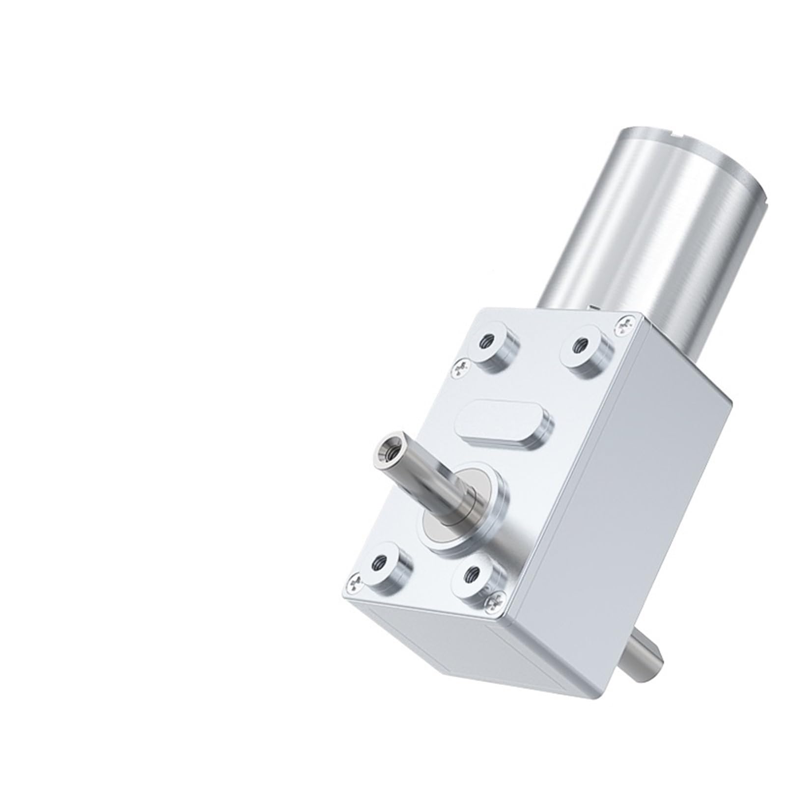 ANERTQUIH JGY-370 Dual-Axis Turbo Worm DC Gear Motor 6V Adjustable Brushed 1Pcs(6V Single Motor,18RPM)