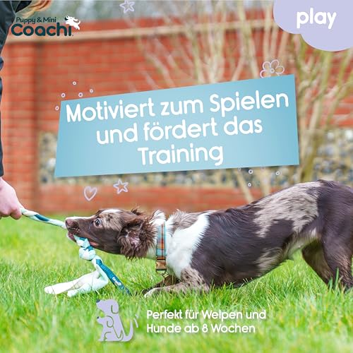 Coachi Puppy & Mini Tuggi Tug Hundespielzeug, Ideal für Zerrspiele & Spaß