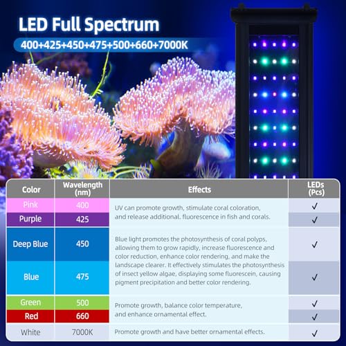 48W LED Saltwater Aquarium Light, Marine Led Reef Light for Corals with White, Blue, Cyan, UV Violet LEDs Dimmer Timer for SPS/LPS/Mixed/FOT Corals and 24-35 Inch Saltwater Fish Tanks by ZUOCHEN - Image 4