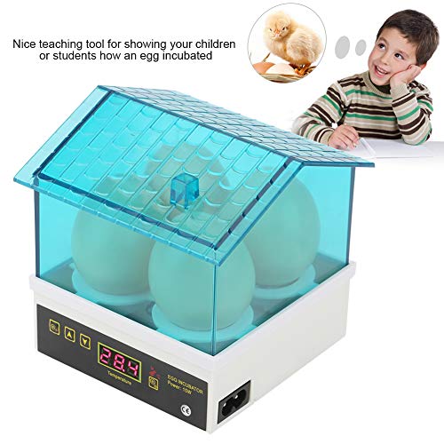 Ei-Inkubator, 15 W 4 Eier Hatcher Haushalt Digitale Halbautomatische Brutmaschine mit Temperaturanzeige, Mini-Geflügel… – Bild 7