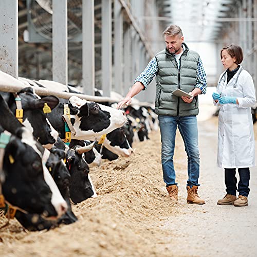 Hzran Pet Veterinary Thermometer, Pet Accurate Fever Detection Thermometer, Animal Temperature Monitor, Fast Read Digital Veterinary Thermometer For Dog, Cat, Horse, Pig, Rabbit, Hamster, Guinea Pig. #TOP6