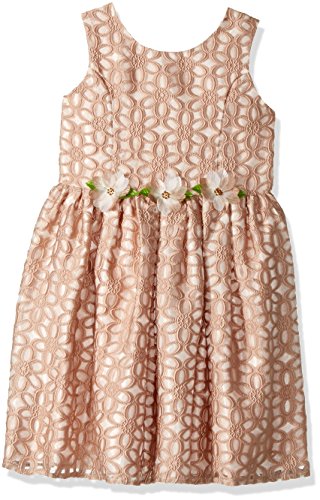Jayne Copeland Girls' Little Burnout Floral with Flowers-Dress, Blush, 2T