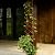 Expandable Garden Trellis, 12" x 75" Wooden Lattice Fence Wall Panel Stretchable Decorative Fences Lattice Trellis for Climbing Plants Outdoor Ivy Vine Rose Clematis Garden Patio Room Decor (1)