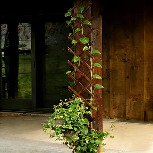 Image of Expandable Garden Trellis, 13 inchx68 inch Trellis for Climbing Plants Outdoor