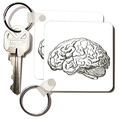 Porte-clés Cerveau Tnmgraphics au laboratoire ou à l'université