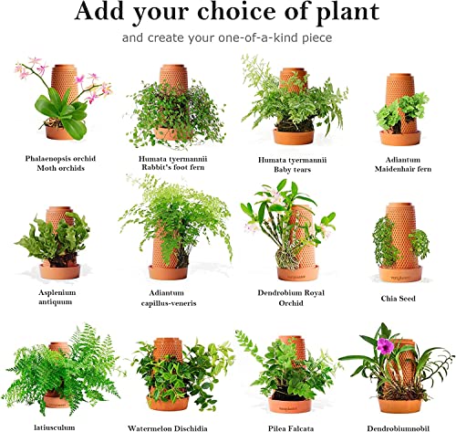 Vertplanter Terracotta Plant Pots Handmade Flower Pots 5.7 Inch Self Watering No Soil Planter For Indoor Outdoor Hydroponic Planter, Flower Pots With Tray To Reuse And Store Water, Great For Orchids #TOP3