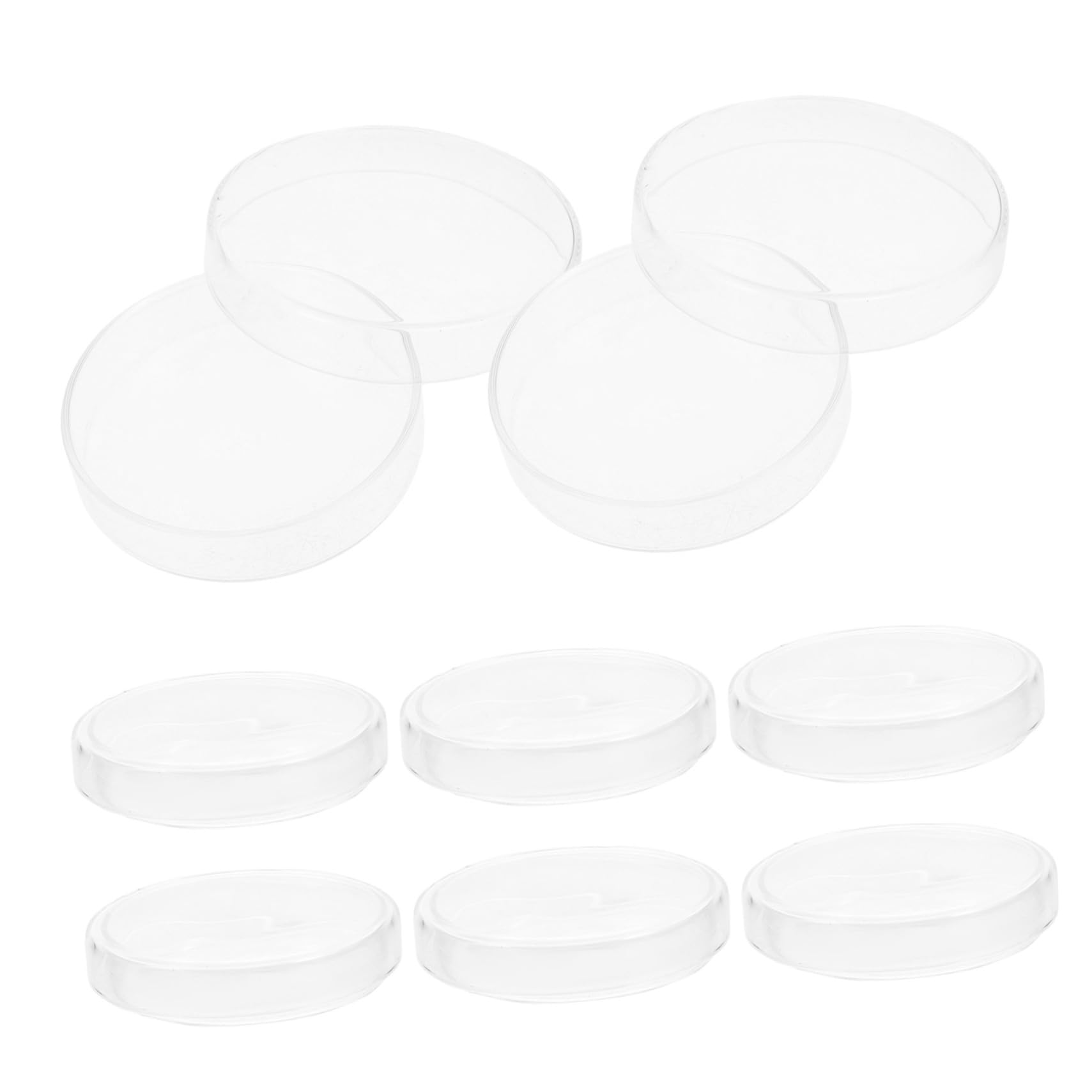 Ciieeo 10stücke Glas-petrischalen mit Deckel für Zellkultur und Labor Wiederverwendbar Mikrobiologisch aus Borosilikatglas für Experimente