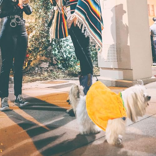 Disfraz Halloween capa y gorro para perros y gatos S miniatura 3