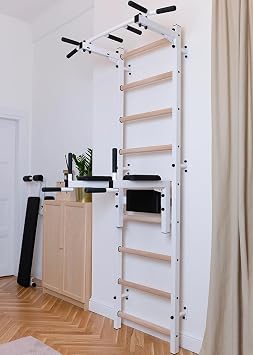 722W Certified Wallbar, Stall Bar, Power Tower, Compact Fitness Multifunctional Equipment with Steel Frame and Fixed Metal 6-Grip Pull Up Bar, Chin Up Bar and Dip Stand for Dips and Hanging