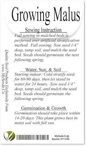 Malus Sargentii (Sargent's Crabapple) Tree Seed, Fragrant White Flowers, Small, Dark Red, Persistent Fruits, You Choose The Quantity (1 Pack) #TOP4