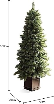 51gOIt4XmRL._AC_UF350,