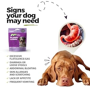 Anp advanced prebiotic  probiotic natural chews for dogs  no animal proteins gut flora health clinically studied proseb multi® for digestive health including diarrhea relief and bowel stability   cucciolini doodles