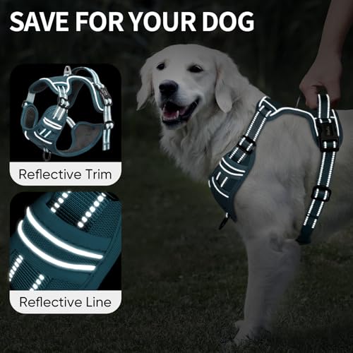 Image of HEELE Dog Harness for Large Dogs No Pull Dog Vest Harness for Large Dog with Soft Padded Handle Reflective for Outdoor Training, Blackish Green, L