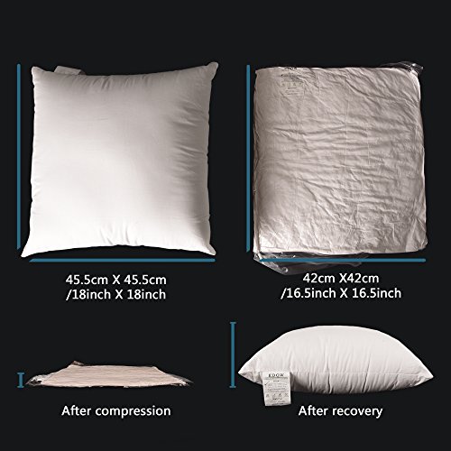 Edow Luxury Throw Pillow Insert, Soft Fluffy Down Alternative Polyester Square Form Decorative Pillow Insert,Sham Stuffer,Cotton Cover For Sofa, Couch,Bed And Car. (White, 24X24) #TOP2