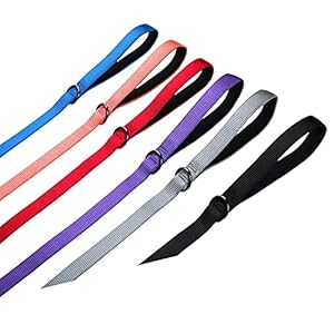 4 feet dog leash with padded handle sturdy nylon dogs leads for small medium large giant dogs walkingtraininghikingjoggingcampingetc ultra violete small4 feet length× 58 inch width   cucciolini doodles