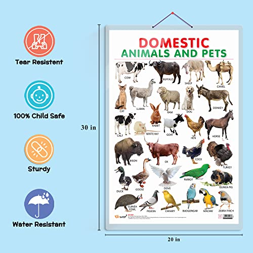 Image of GO WOO Combo of 2 (Alphabet and (Domestic Animals and Pets) Educational Posters for Preschool Kids Classroom Study | Learning- Charts for Kids Learning (20 inchX30 inch Inches)