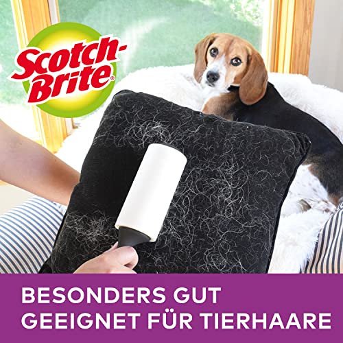 Scotch-Brite Everyday Clean Fusselroller, 1 Rolle 30 Blatt 4,55 m - Fusselrolle für Kleidung und Möbel gegen Fussel oder Tierhaare, Roller ist wiederverwendbar