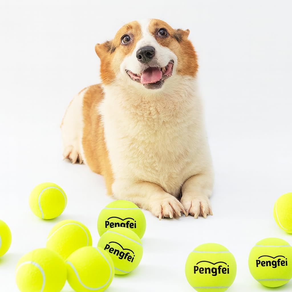 MADPET Köpek Oyuncağı Tenis Topu Büyük Boy – Dayanıklı Kauçuk İç Yapı, Diş Dostu Yumuşak Keçe Kaplama, Suya Dayanıklı, Hafif ve Esnek Yapı – Küçük ve Orta Irk Köpekler İçin Getir-Oyunu Topu