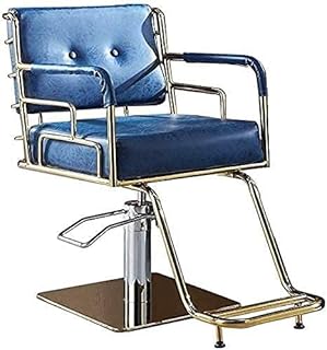 Salon Chair Hydraulic Chair For Business Or Home, Beauty Styling Chair For Beauty Shop Salon Chair Barber Chair Styling Chair Hydraulic Swivel Classic Hair Salon Chair (420 Lbs) (Black 2) Convenient (